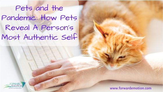 Pets and the Pandemic: How Pets Reveal A Person’s Most Authentic Self